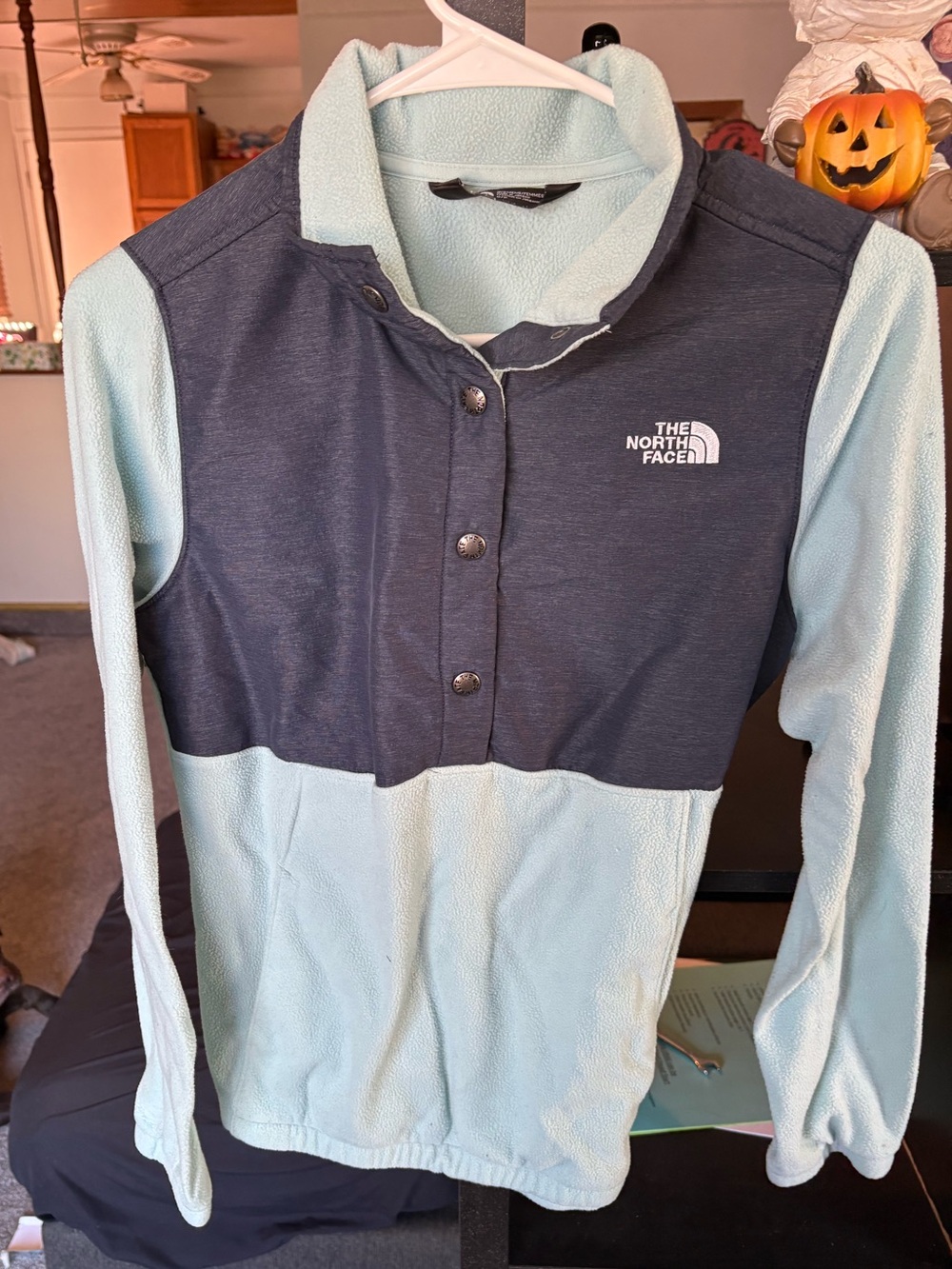 The North Face Two-Tone Snap Fleece Pullover - Light Blue & Navy